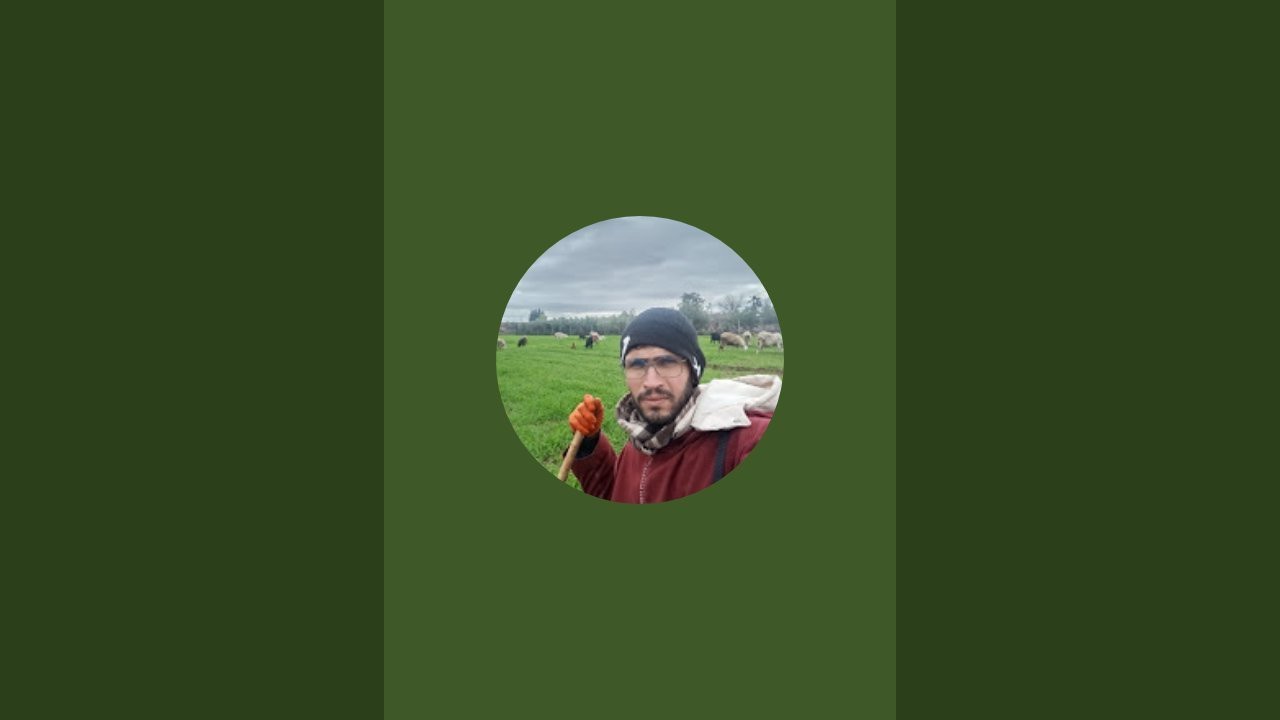بدأت قناة 