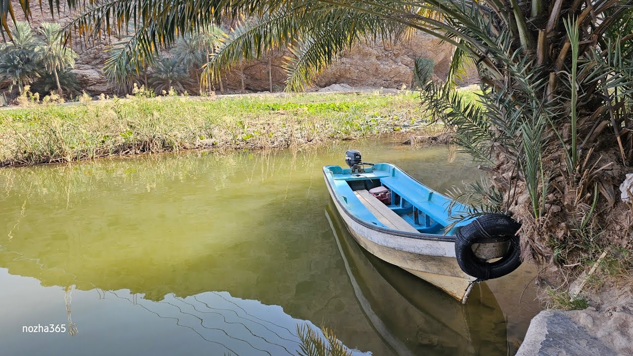 وادي شاب / طيوي || Wadi Shab
