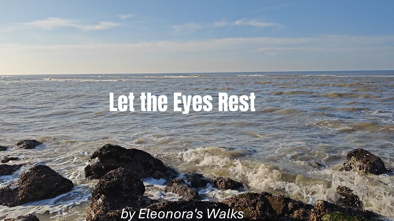 Watching the Sea | A Sunny January Day by the North Sea