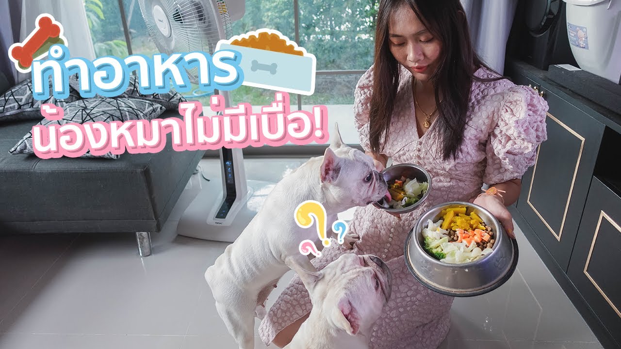 ทำอาหารให้หมากินแบบง่ายๆ มีประโยชน์ กินได้ทุกวันไม่มีเบื่อ!
