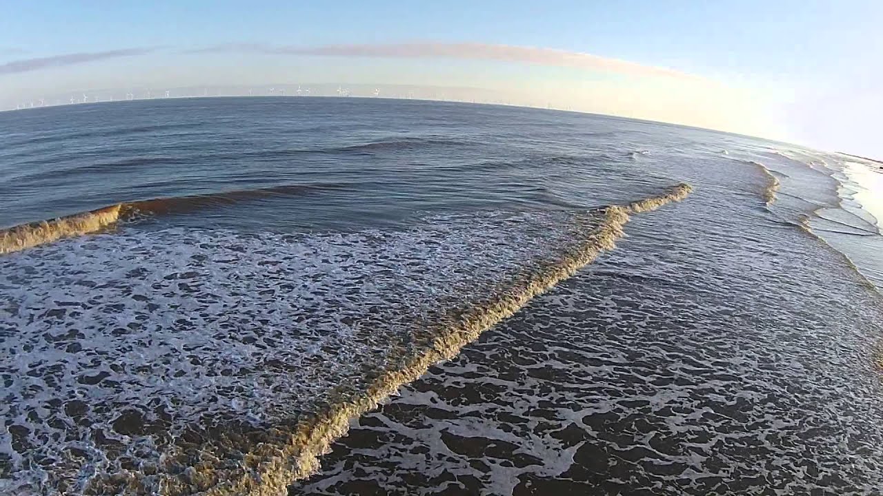 Dog trying to catch my drone!