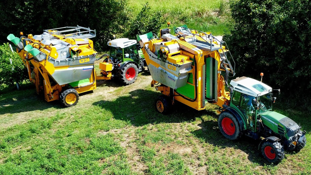 VENDEMMIA 2025: 3&times; FENDT 211P | JOHN DEERE 6R 185 - 6920S | 3&times; GREGOIRE G3.250 | ZACCARIA