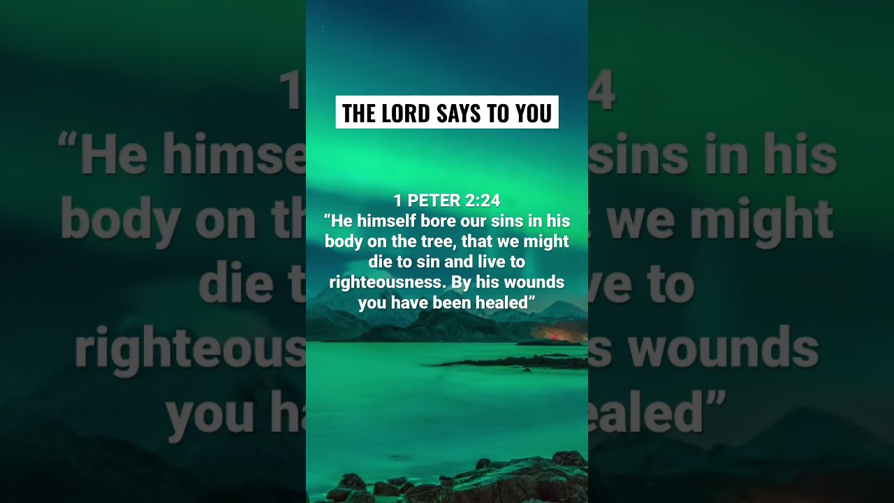 Jesus takes your sin away! (Bible Verse of the Day!)
