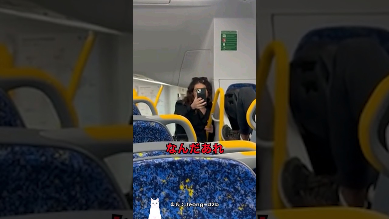 オーストラリアの電車で起きた衝撃的な事件