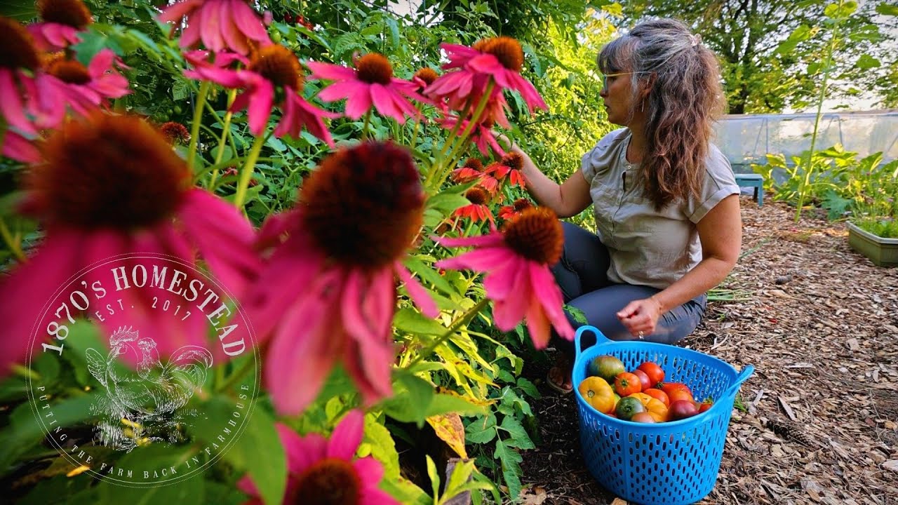 The Most Beautiful Homestead Evening Harvest | Sights & Sounds