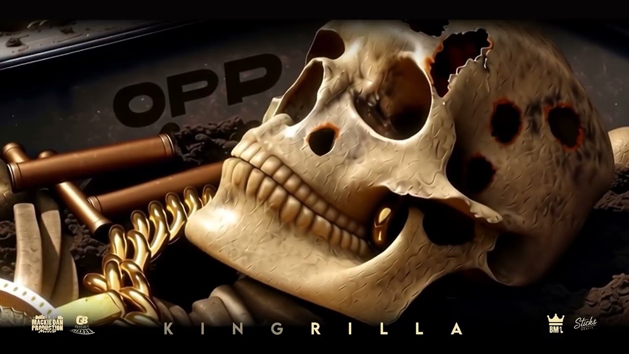 King Rilla - Wake up (visualizer)