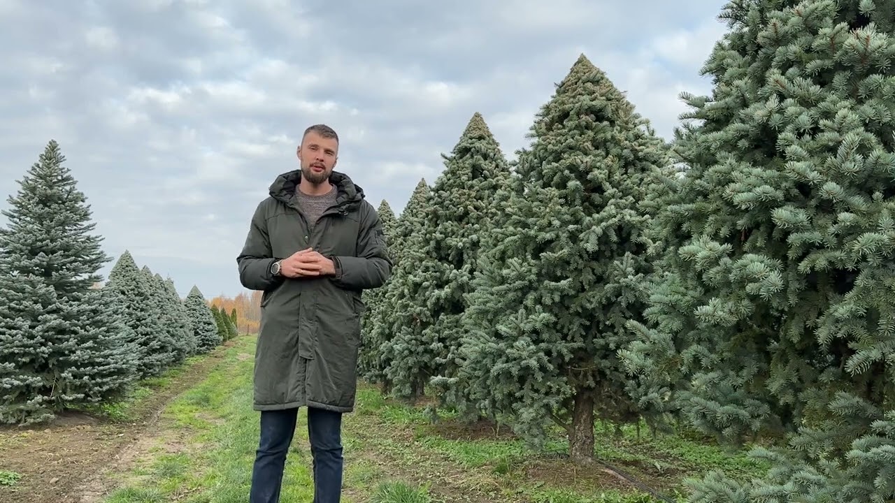 Ниваки за 670000 рублей