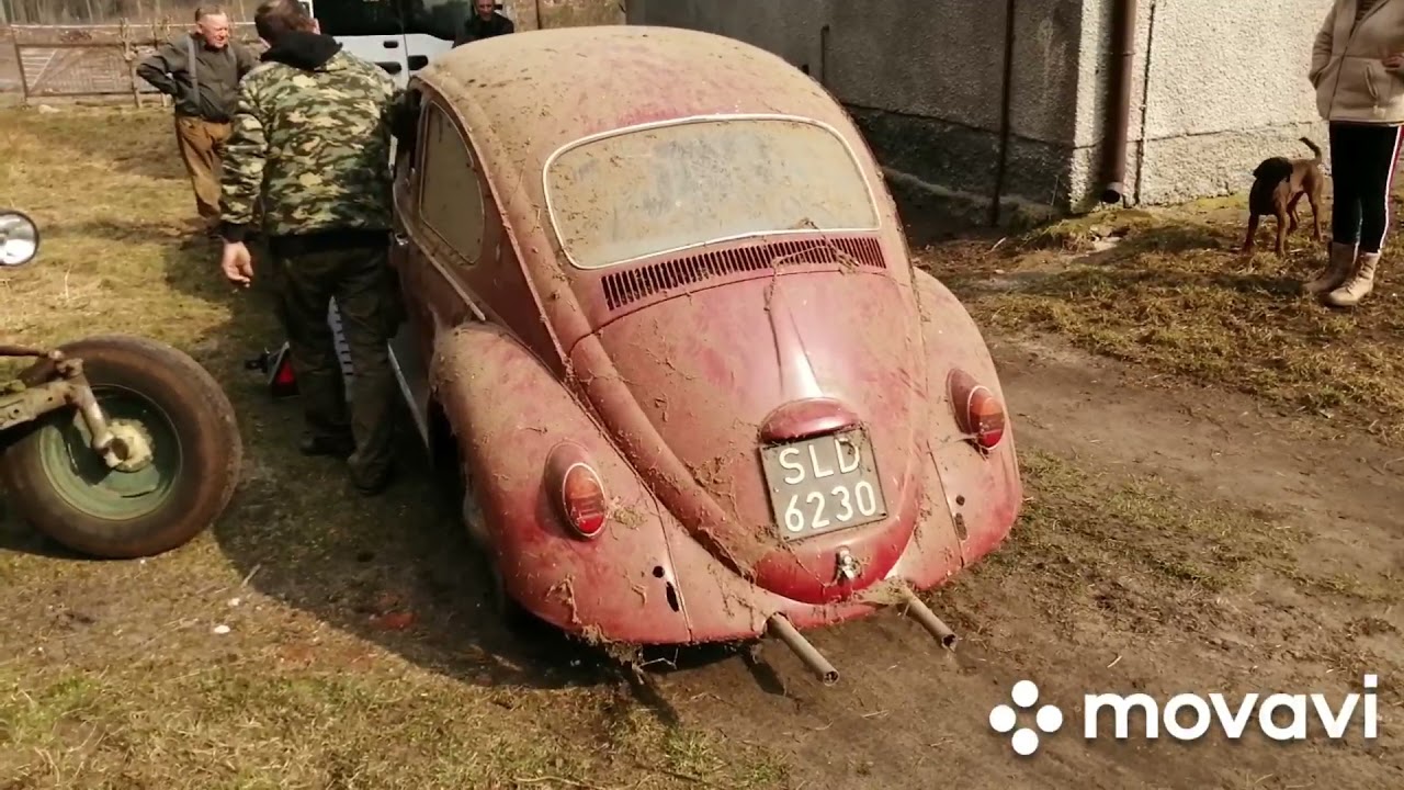 Garbus 65 rok 33 lata w stodole