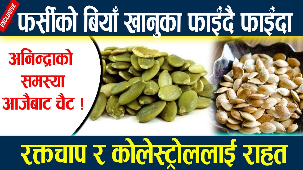 फर्सीको बियाँ खानुका फाईँदै फाईँदा, रक्तचाप र कोलेस्ट्रोललाई राहत || Farsiyako Biya ||