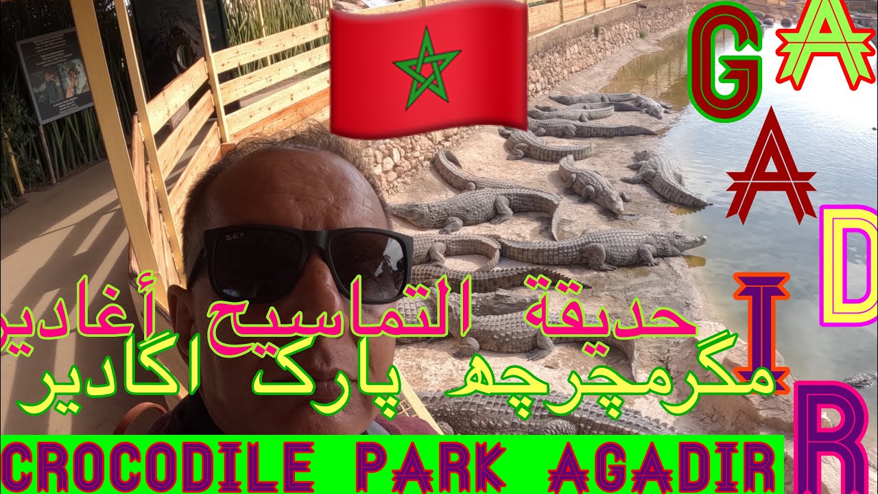 Agadir crocodile park-world Big park in the World 
