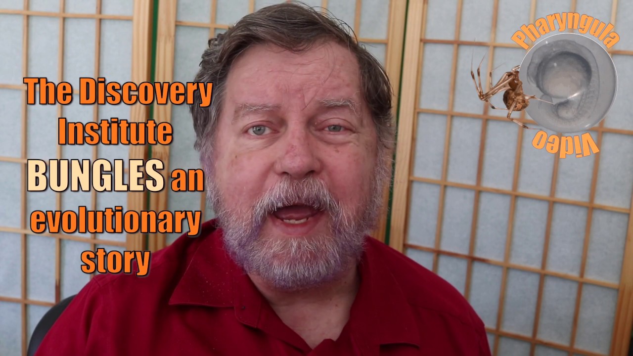 A whopper of a creationist tale