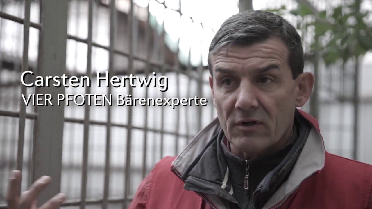 Manya - nach 14 Jahren ist ihr Käfig leer!