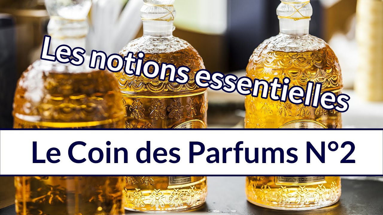 Le coin des parfums n°2 : les notions essentielles pour comprendre la parfumerie