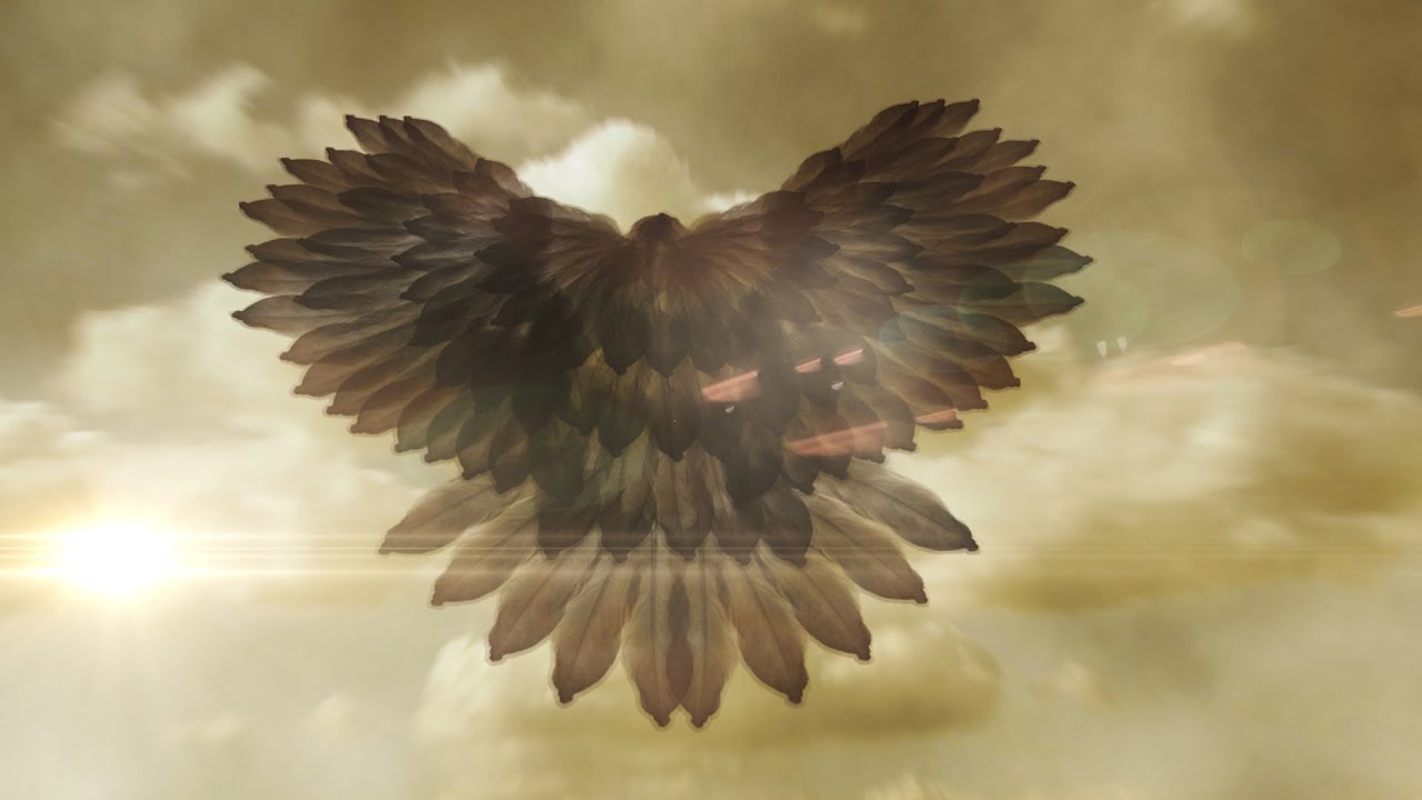 2D Animation - Flying Bird