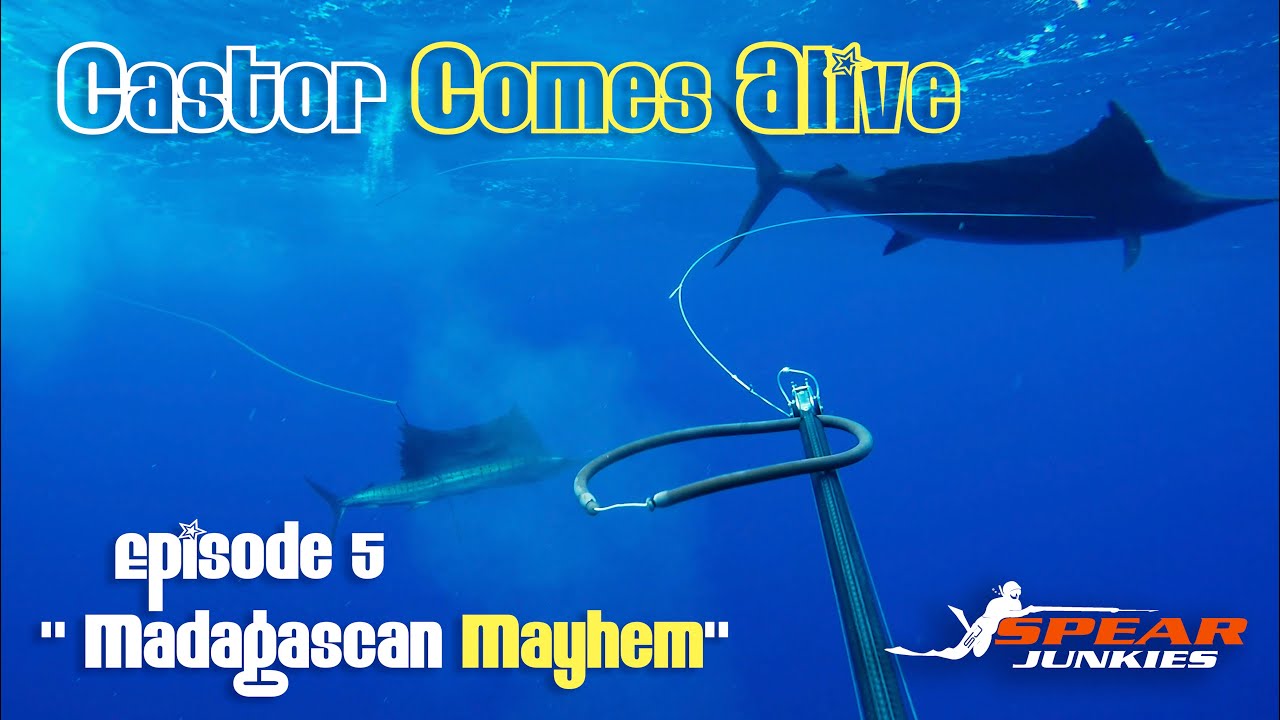 Madagascan Mayhem - Castor Banks Comes Alive - Spearfishing Ep 5