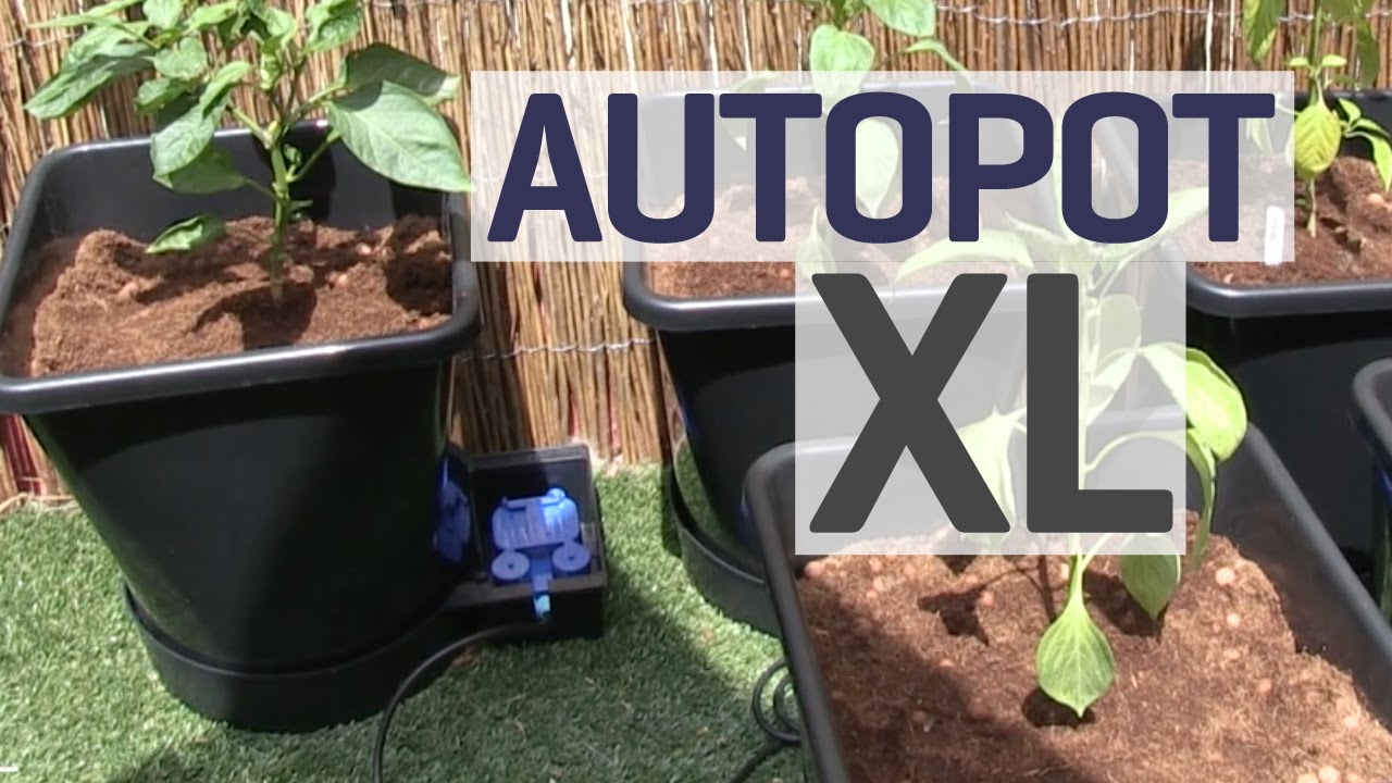 Как настроить систему выращивания с гравитационной подачей Autopot XL