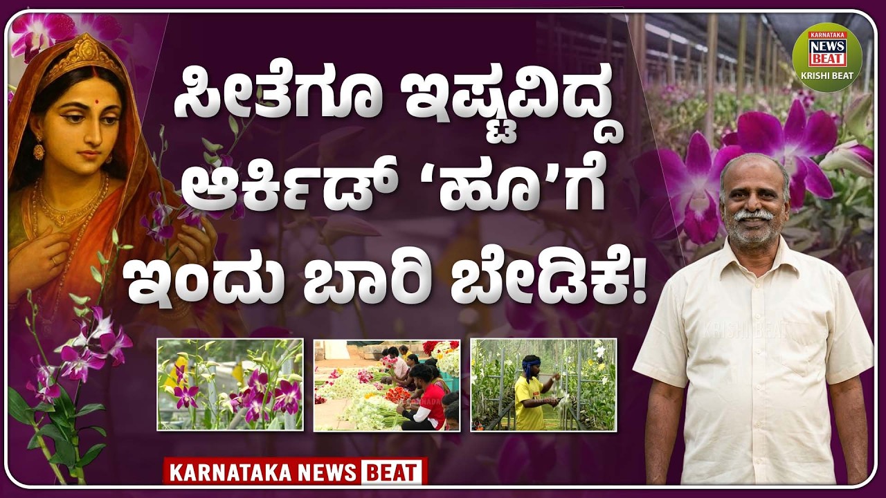 OrchidFarm |  ಕೇವಲ 1 ಎಕರೆಯಲ್ಲಿ ಕೋಟಿ ಗಳಿಸುವುದು ಹೇಗೆ?