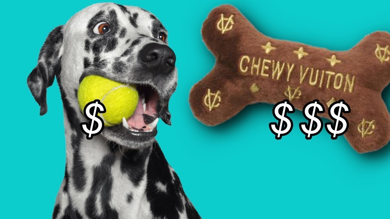 Cheap vs Expensive Toys: Letting my Dogs Decide Challenge