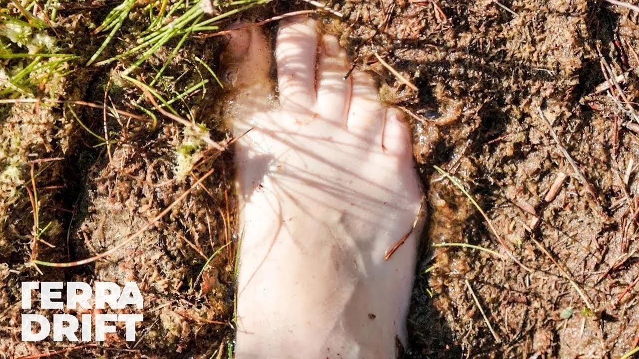 Walking Barefoot in the High Moor of Vorarlberg, Austria