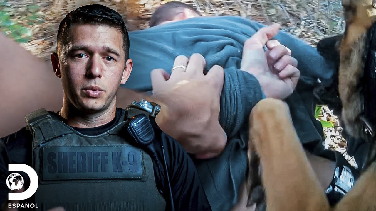 Fugitivo es capturado después de una intensa persecución | Mirada Policial | Discovery en Español