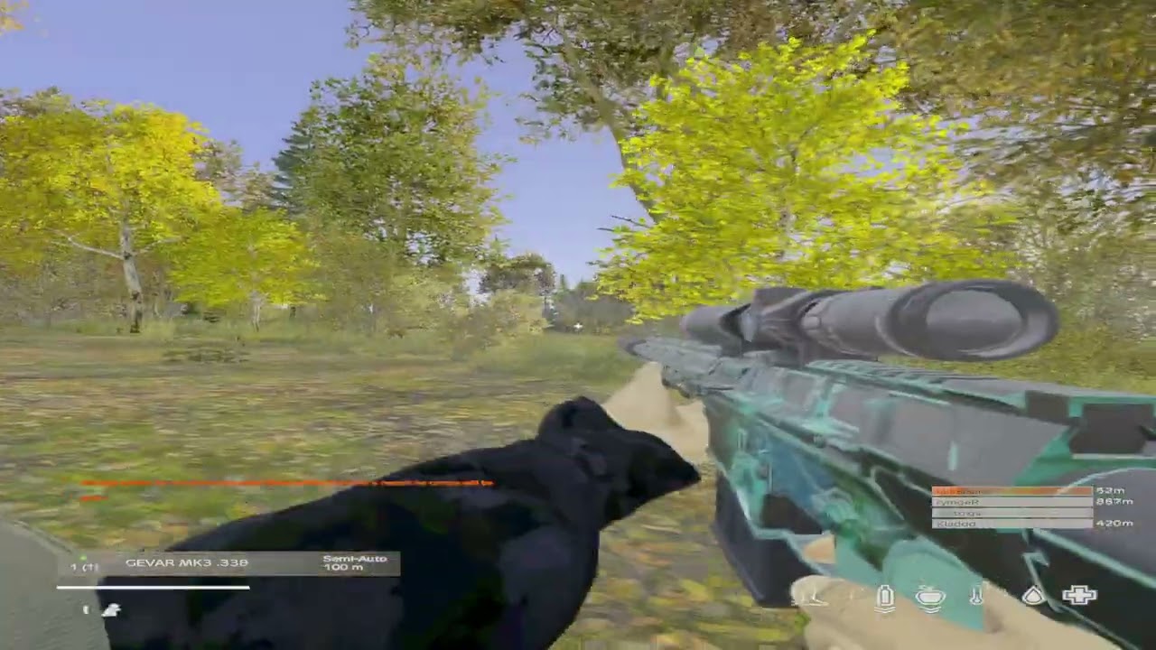 The Project Montage | DayZ