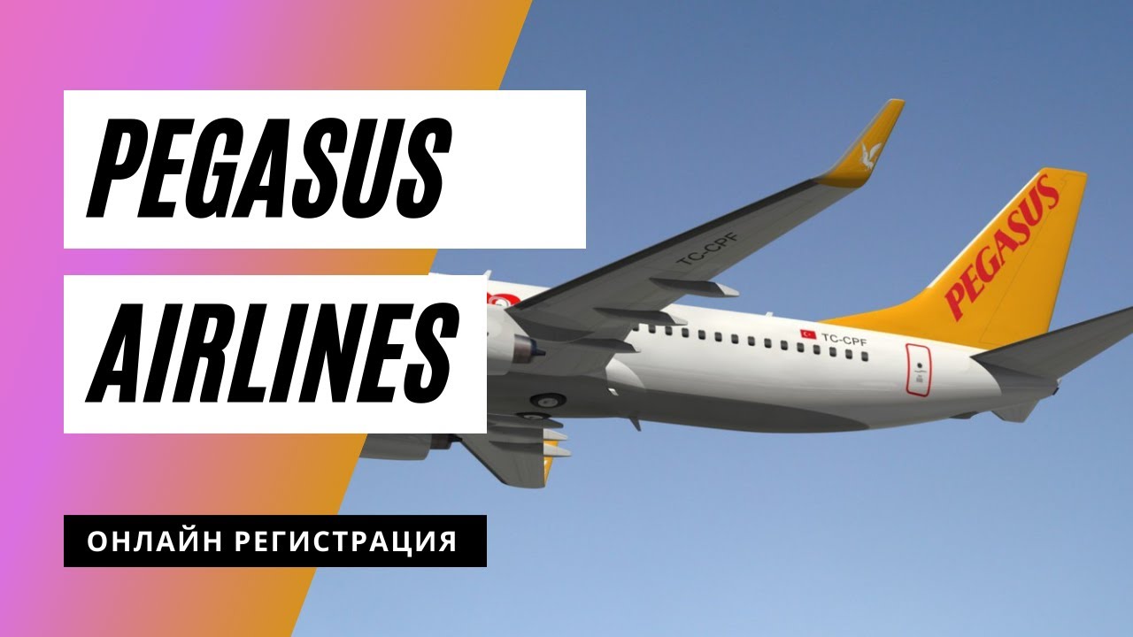 Регистрация | Pegasus Airlines. Как пройти онлайн регистрацию на рейс.