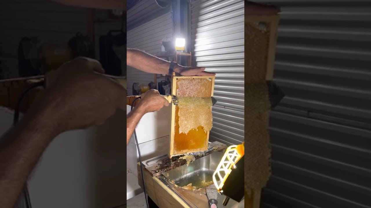 How to cold extract honey