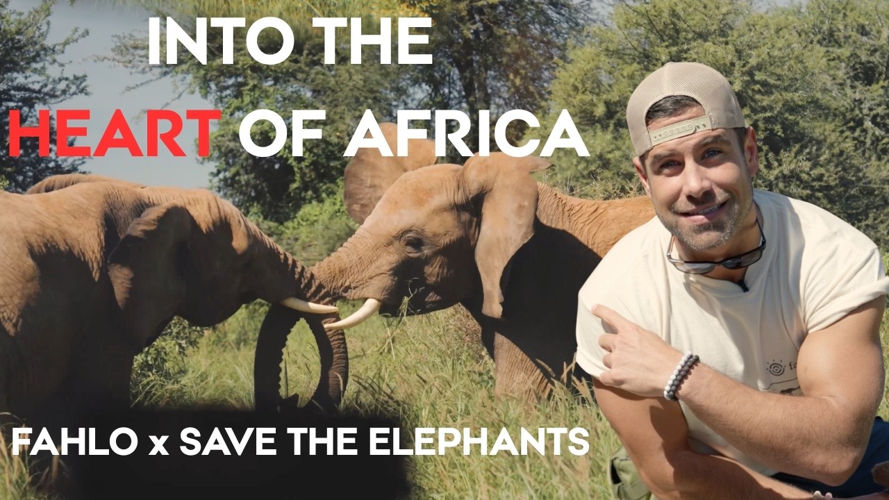 This Is What Elephant Conservation Really Looks Like!
