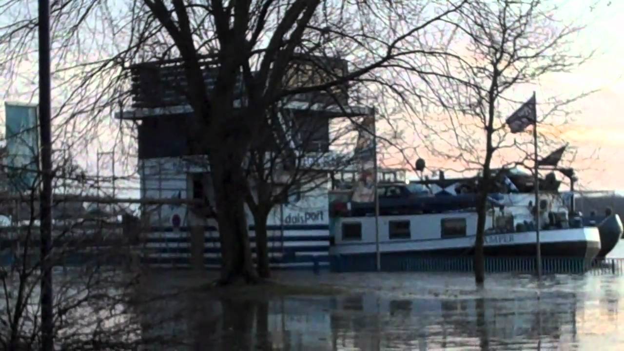 Rhein - Hochwasser am Pegel Duisburg Ruhrort