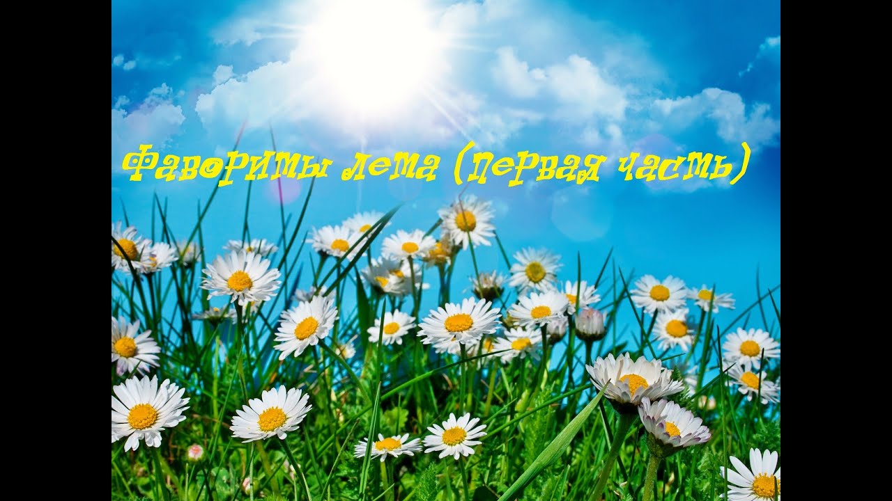 Фавориты лета(1 ч. декоративная)