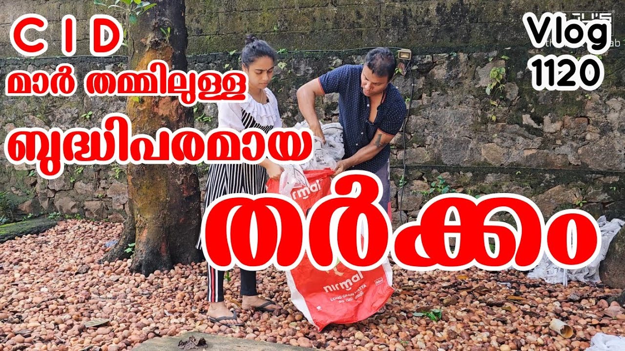 സരിതയോട് പ്രതികാരം വീട്ടാൻ.../Family vlog /Snacks /Village life /Entertainment /AJU'S WORLD