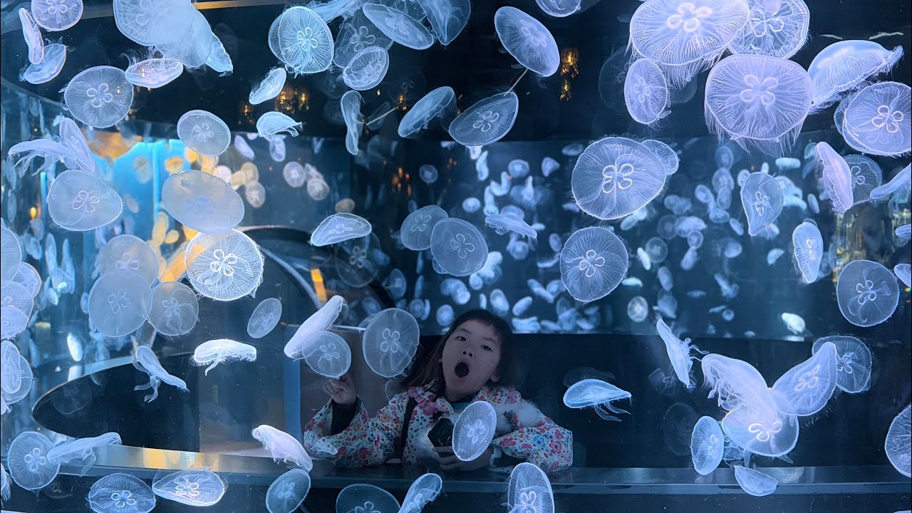 2026.02.03 京都水族館