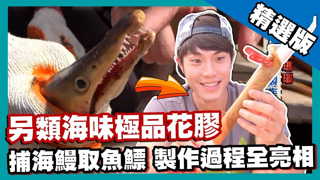 【印尼】極品花膠另類海味 神奇魚肚製作過程首亮相｜《世界第一等》782集精華版 #好家在我在家