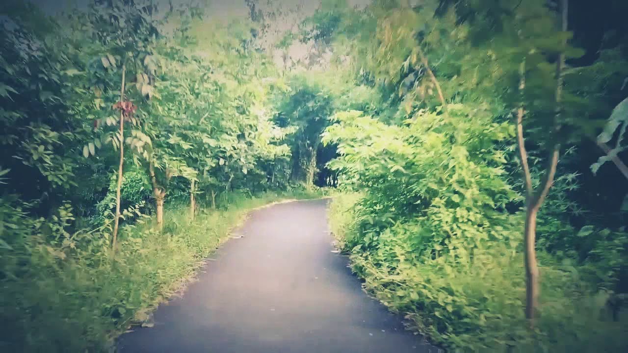 Going through village road, Jhaluarber, near Domjur, a relaxing drive