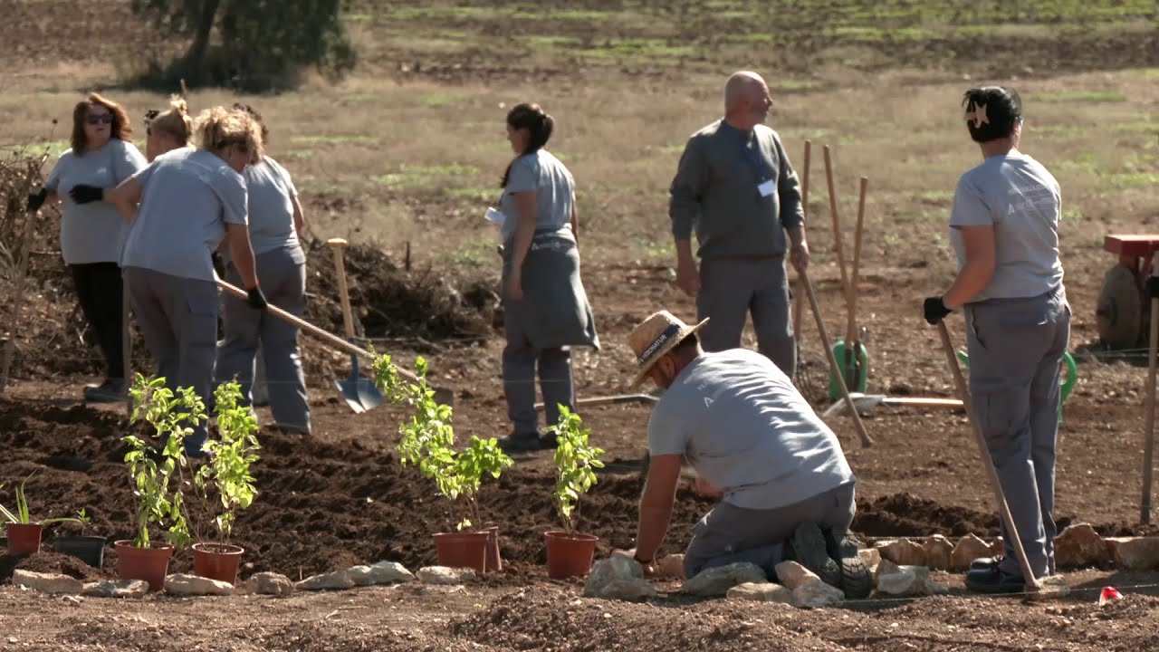 La finca Las Turquillas, en Osuna, apuesta por la agricultura ecológica, la formación y el empleo