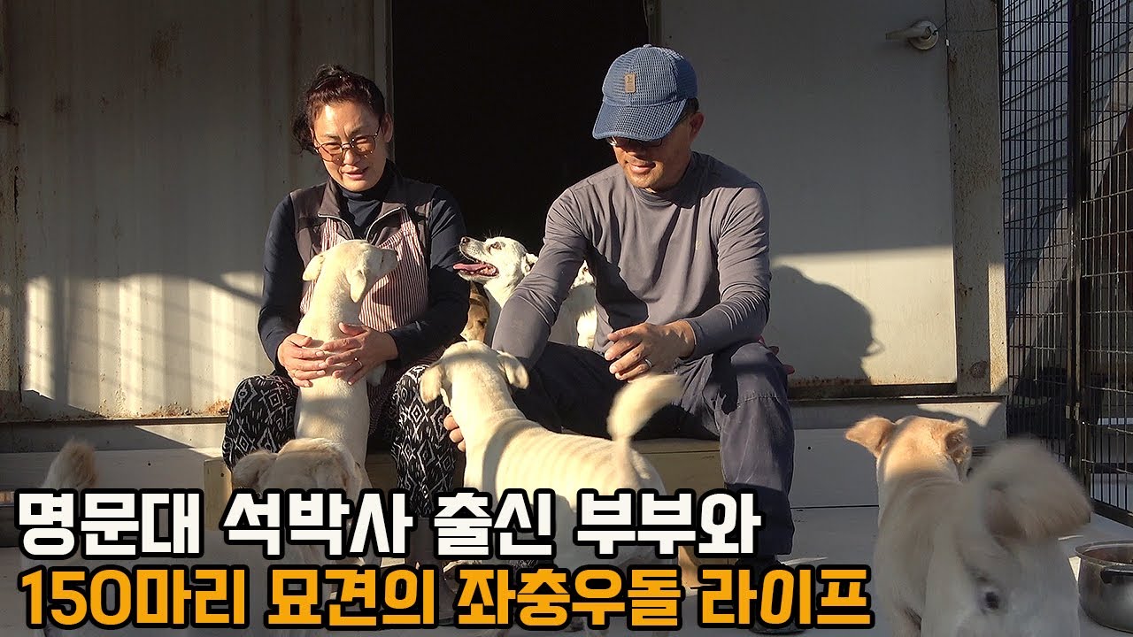 억대 연봉 받던 대학교수가 모든 걸 포기하고 150마리 강아지 고양이 엄마로 사는 이유