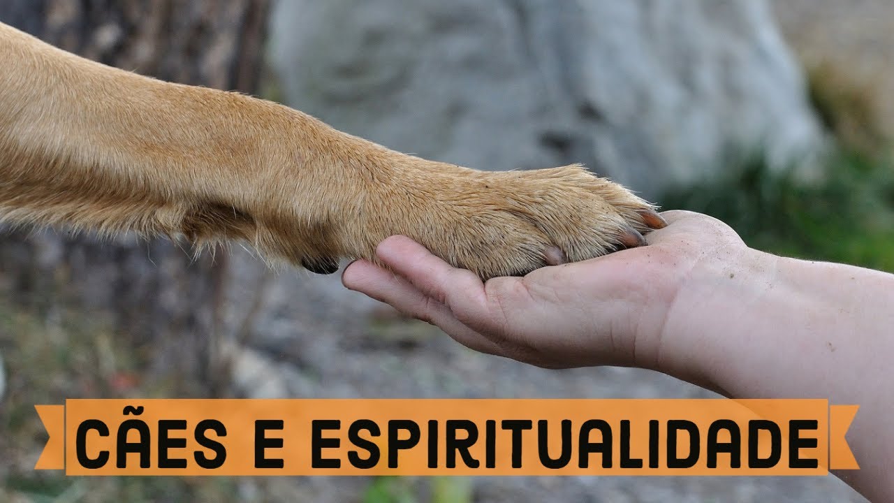 C&atilde;es e Espiritualidade