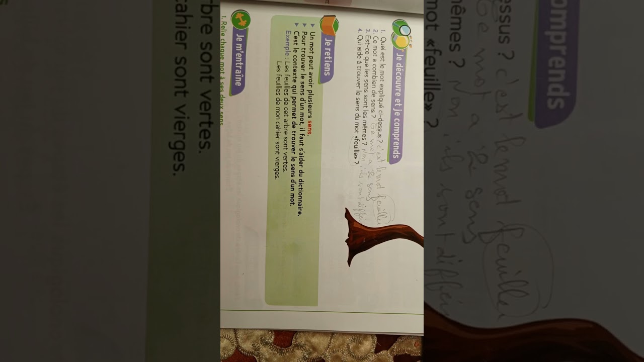 CE2: Vocabulaire : Le sens d' un mot page 43 Le trésor des mots