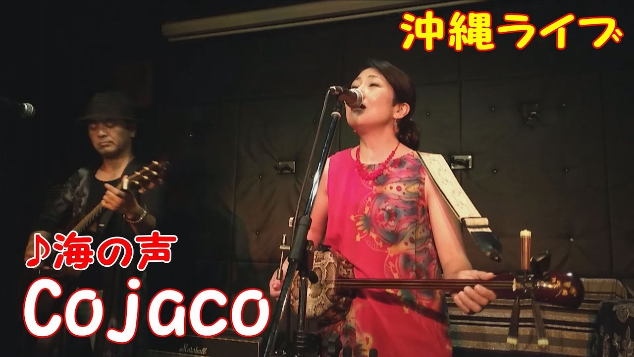 「♪海の声」（Cojaco）