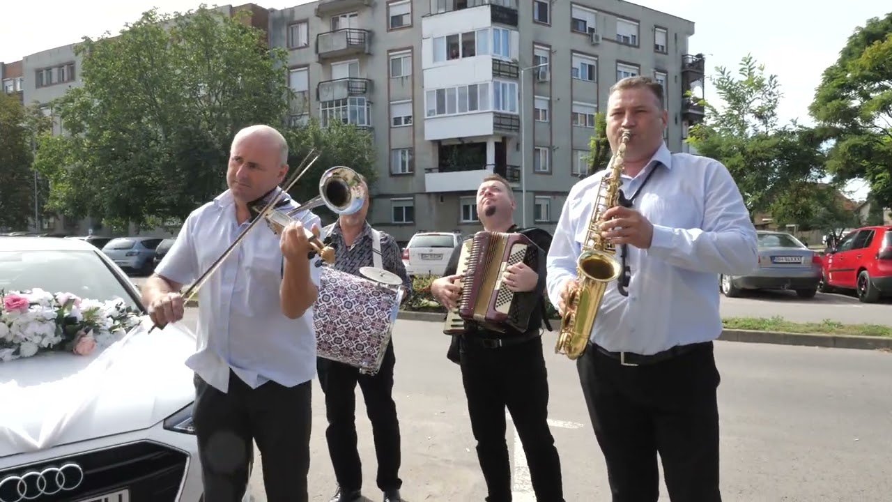 Vioara cu goarba, muzica de nunta Jud Bihor #13