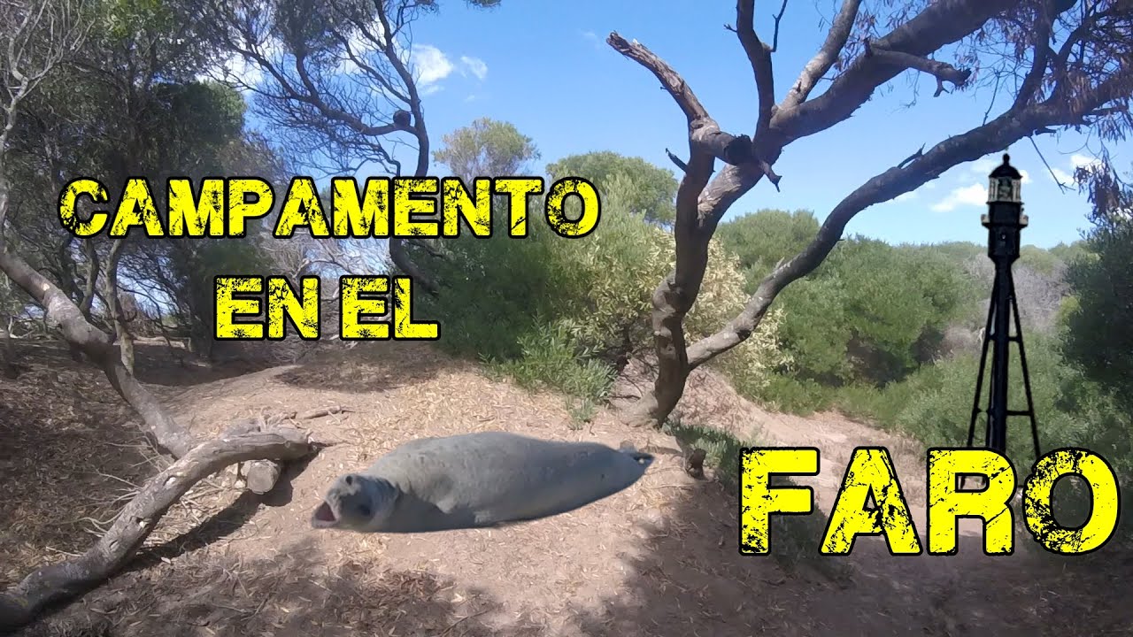 PUNTA MEDANOS