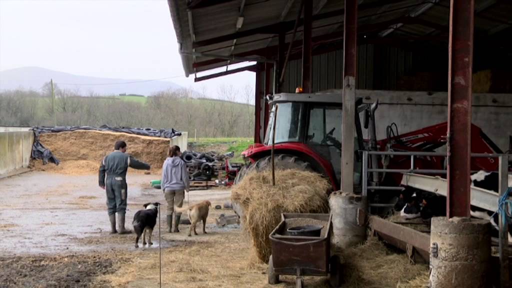 Quels outils pour faciliter la transmission et l'installation en agriculture - Vol 1
