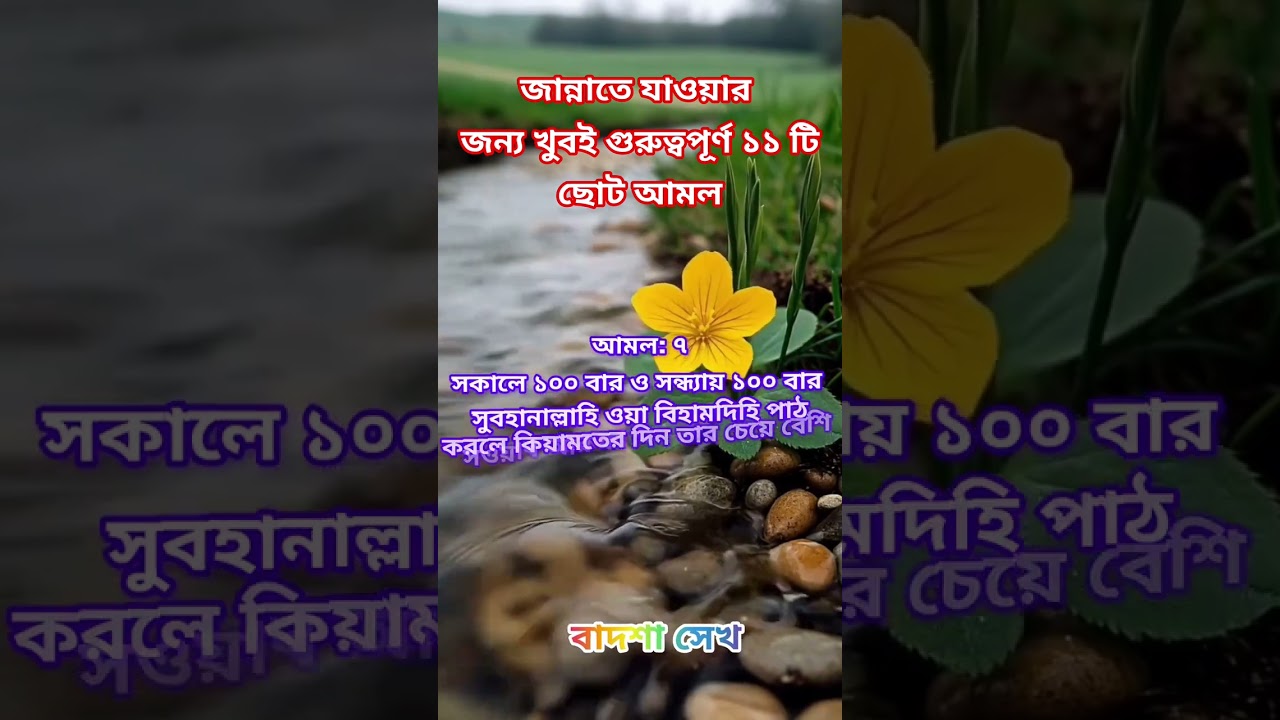 জান্নাতের যাওয়ার জন্য খুবই গুরুত্বপূর্ণ ১১টি ছোট আমল #ইসলামিক ভিডিও# অর্থ