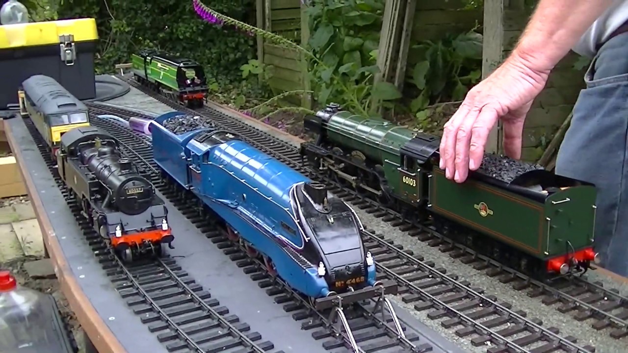Video 129. Norfolk Gauge 1 group GTG at Ian Clifft's