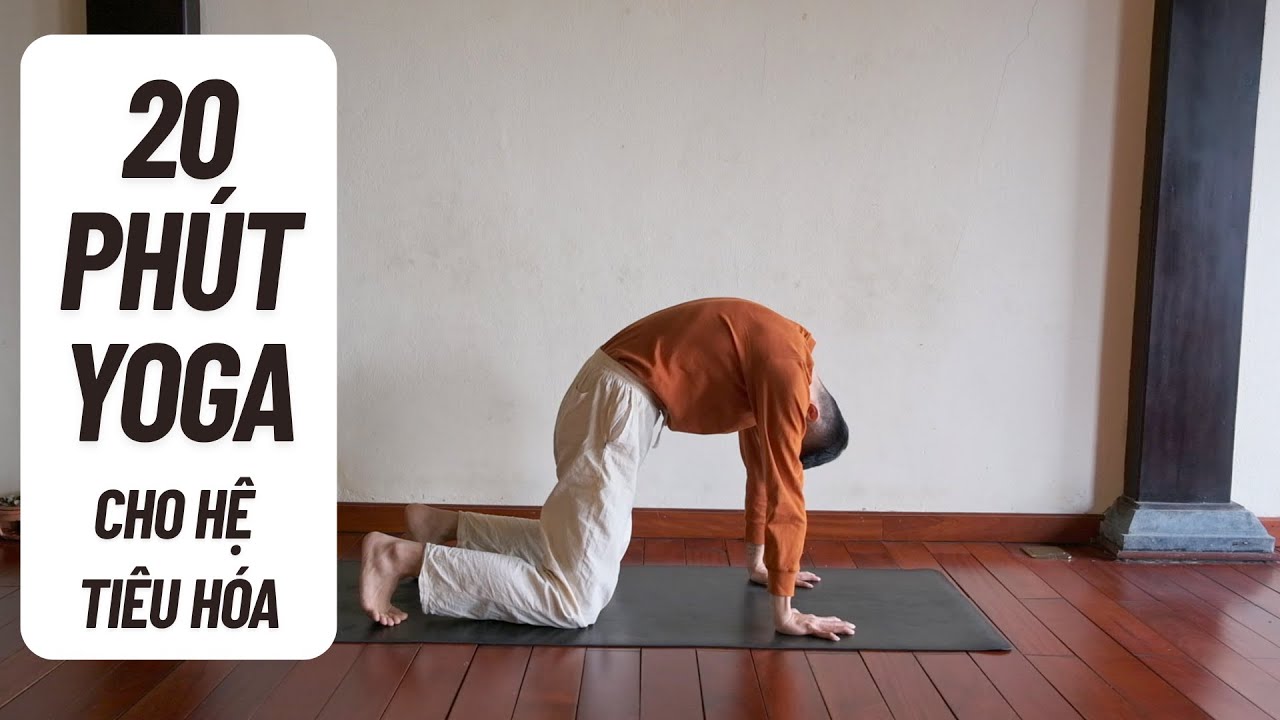 20 Phút Hatha Yoga Mỗi Ngày Dành Cho Hệ Tiêu Hóa