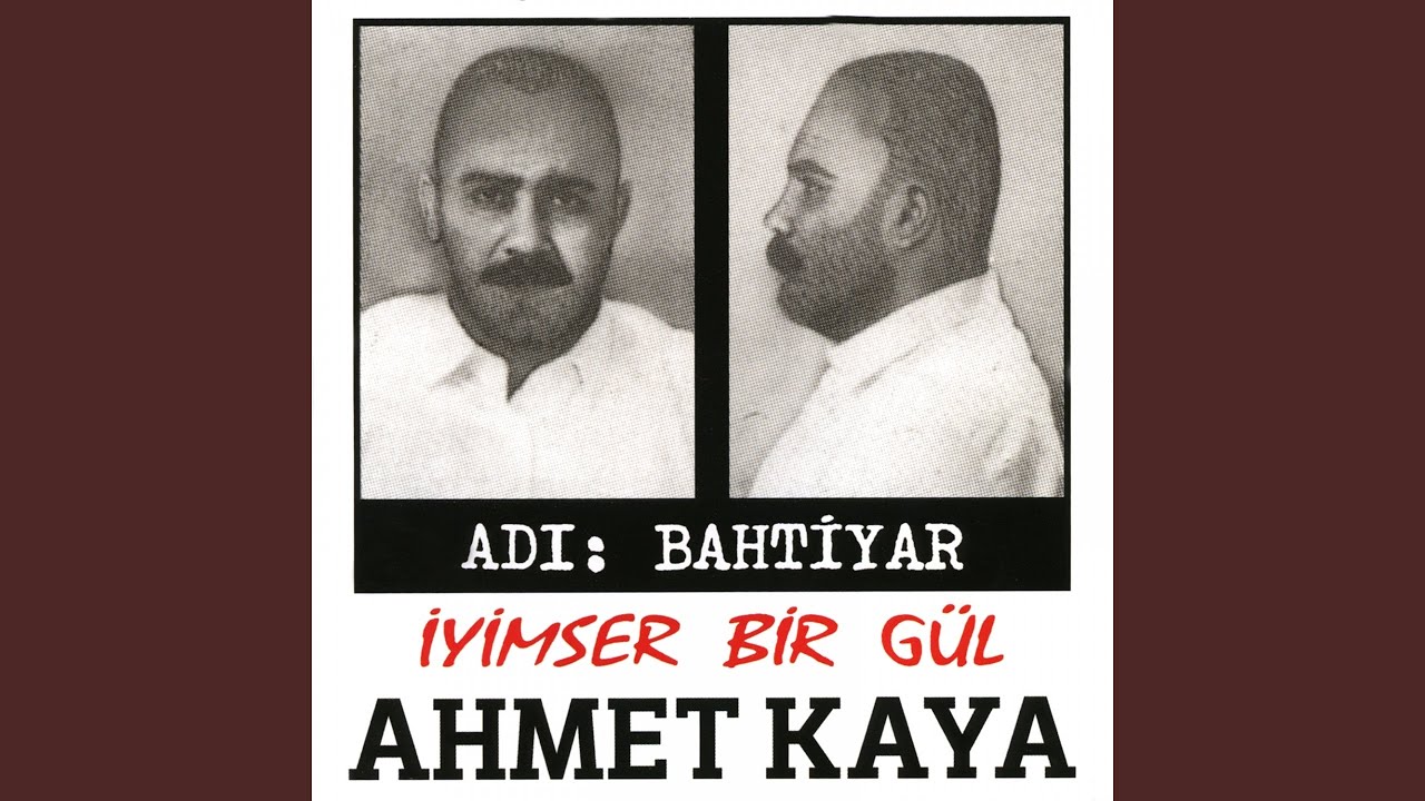 Gökyüzü