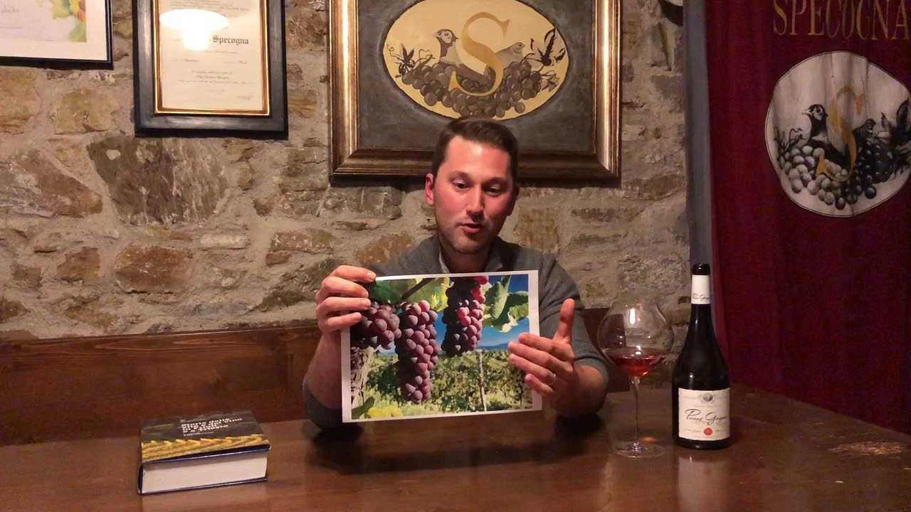 #DegustazioniDistanti Friuli Colli Orientali - Azienda Agricola Specogna