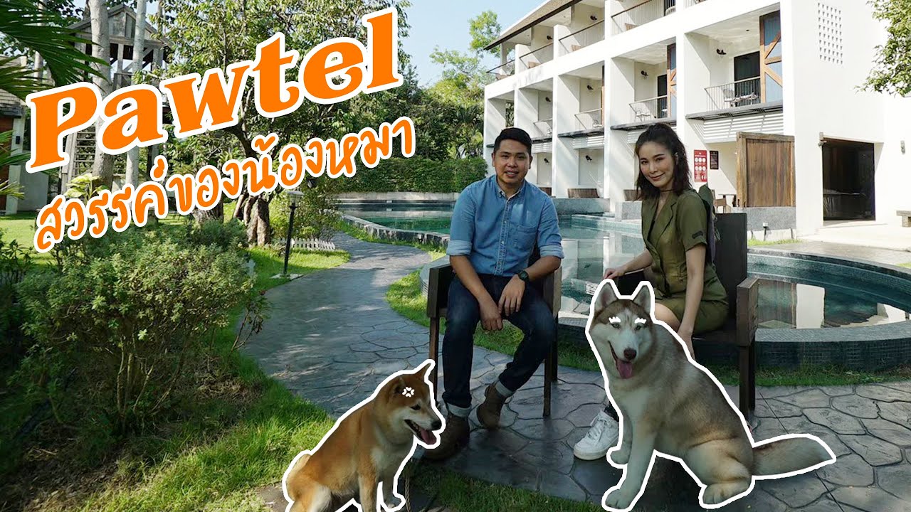 Pawtel สวรรค์ของน้องหมา l OA 22 ธ.ค. 2562