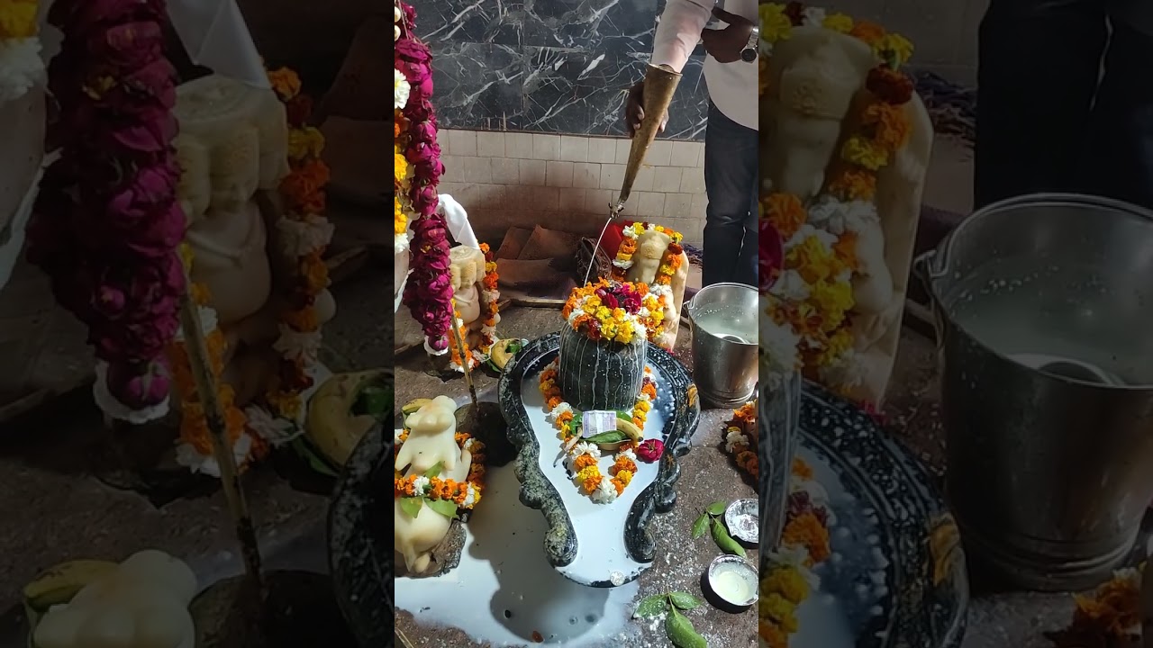  Абхишека на #Махашиваратри 16.02.2026 Abhishek on Mahashiv ratri 