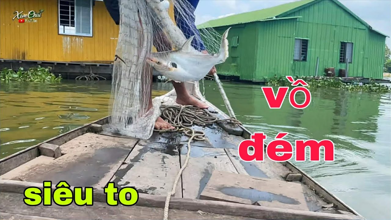 Chài Giựt Giây Gặp Ngay Cá Vồ Siêu To 